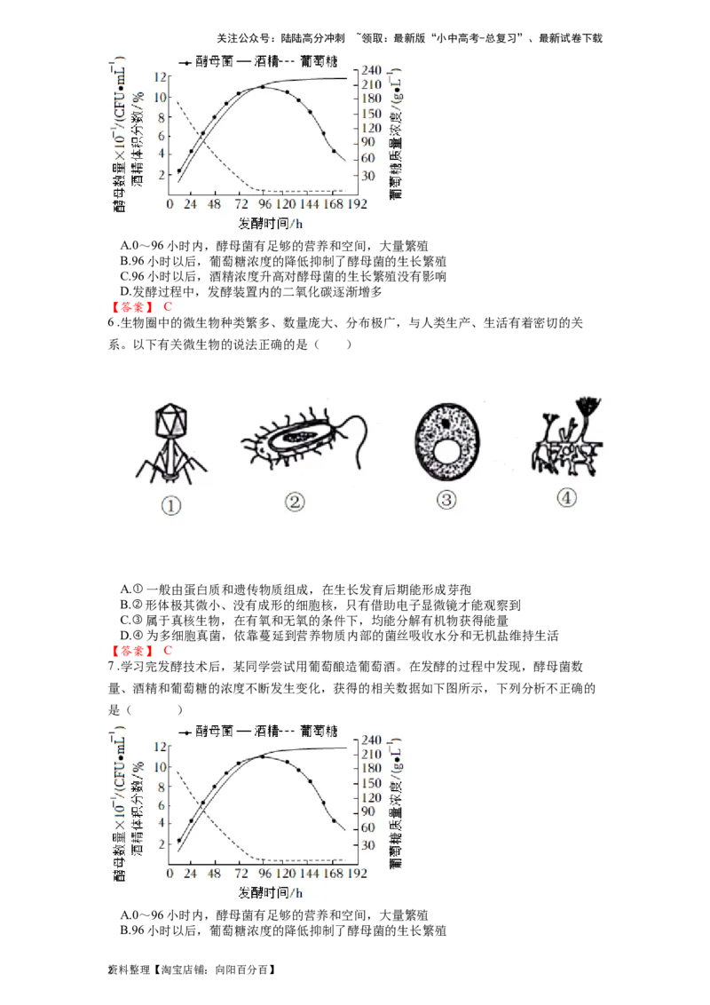专题19生物圈中的微生物（解析版）_02中考总复习（2026版更新中）_08-生物-中考总复习_2024年中考复习资料_一轮复习_配套练习_教师版（含答案解析）