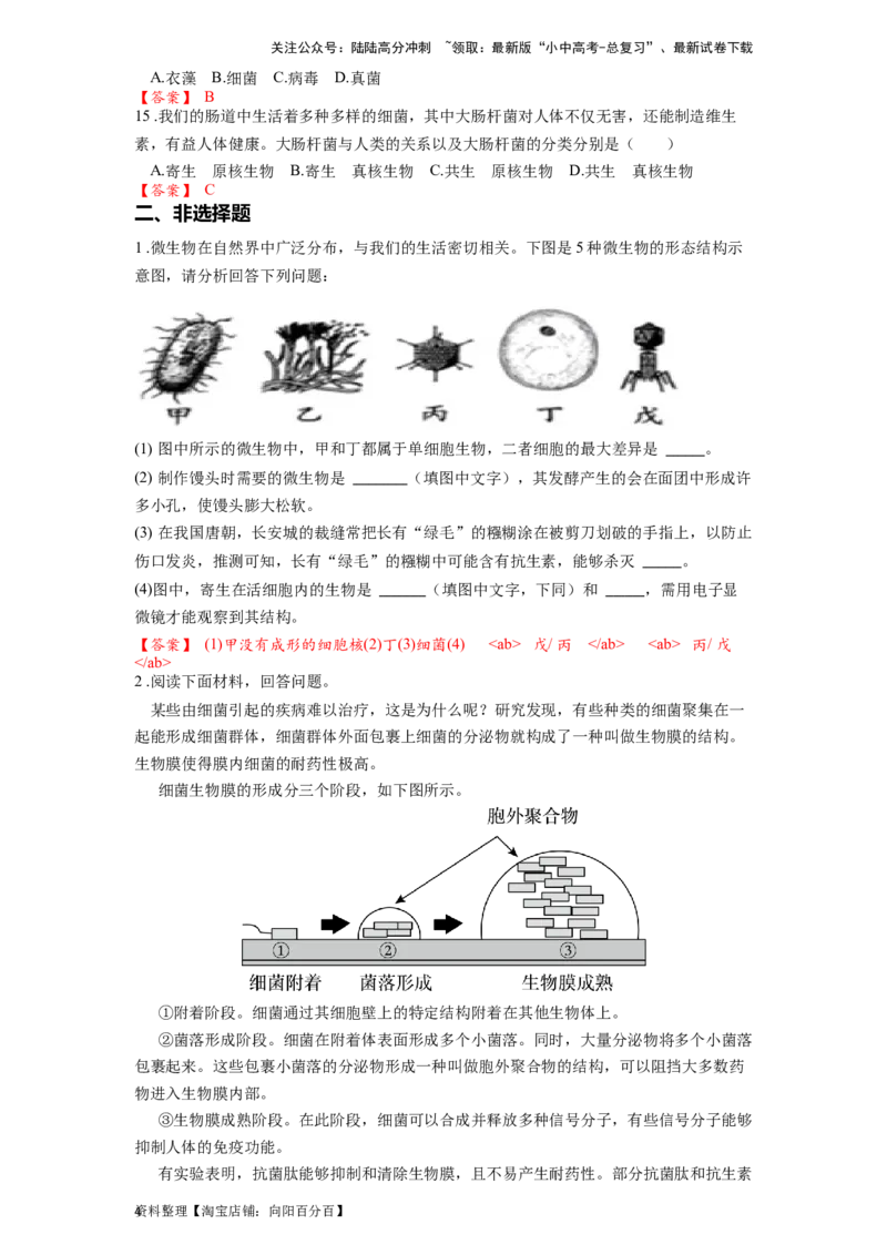 专题19生物圈中的微生物（解析版）_02中考总复习（2026版更新中）_08-生物-中考总复习_2024年中考复习资料_一轮复习_配套练习_教师版（含答案解析）