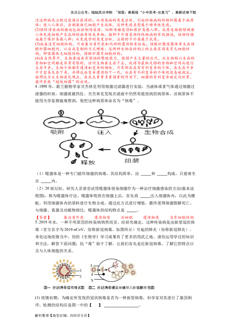 专题19生物圈中的微生物（解析版）_02中考总复习（2026版更新中）_08-生物-中考总复习_2024年中考复习资料_一轮复习_配套练习_教师版（含答案解析）