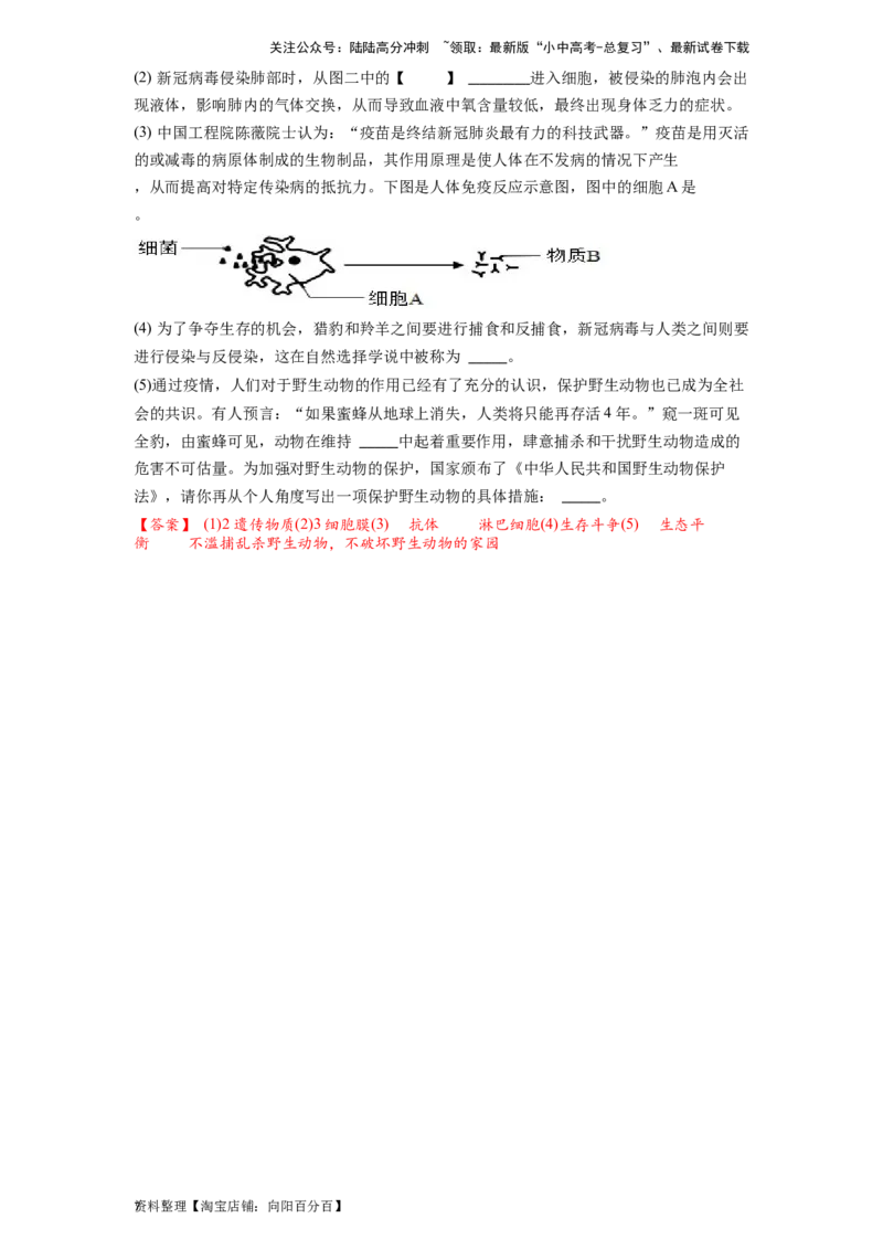 专题19生物圈中的微生物（解析版）_02中考总复习（2026版更新中）_08-生物-中考总复习_2024年中考复习资料_一轮复习_配套练习_教师版（含答案解析）