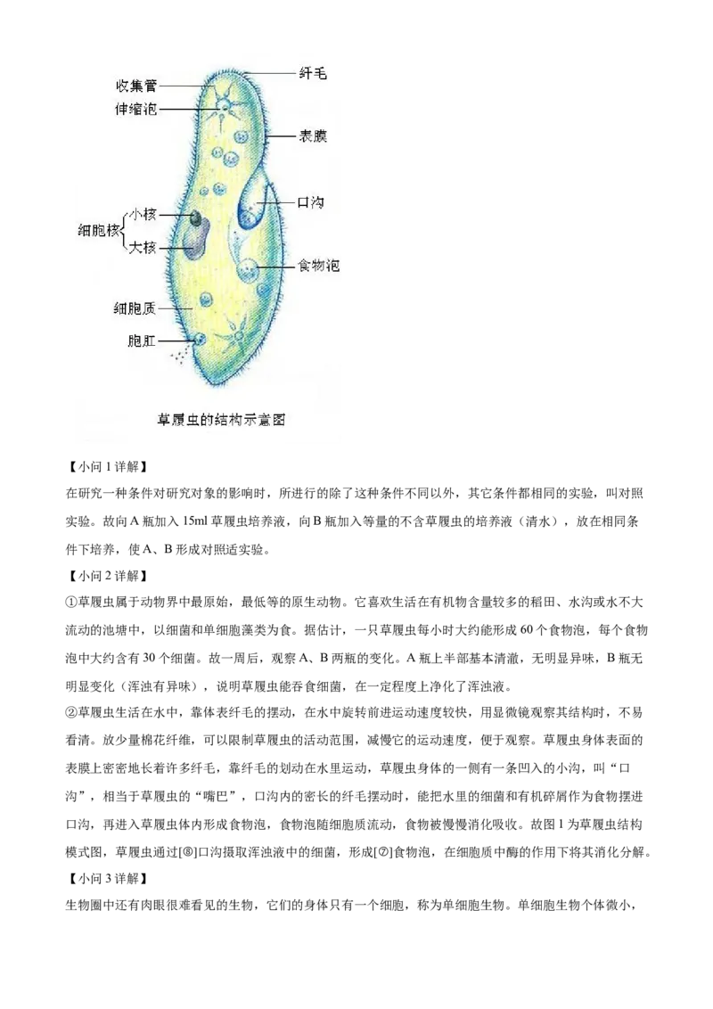 精品解析：北京市房山区2021-2022学年七年级上学期期末生物试题（解析版）(1)_北京初中期末题_C605-京七八九_B京生物七八九_北京7上生物_2021-2022
