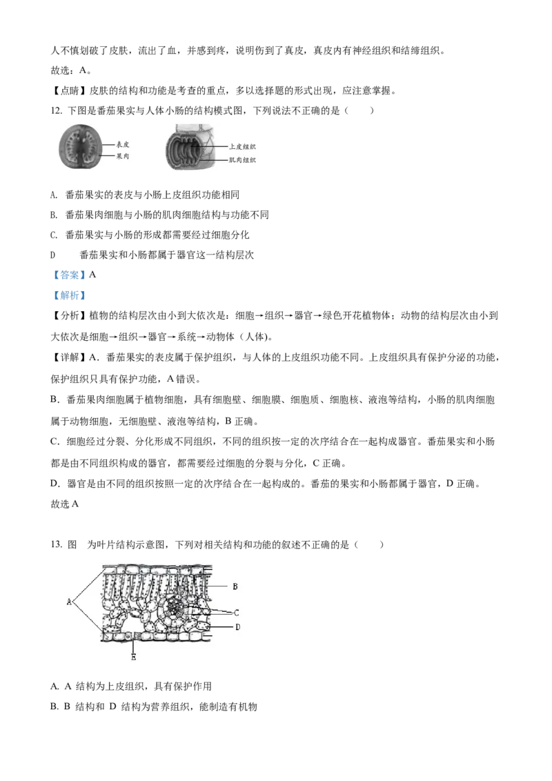 精品解析：北京市房山区2021-2022学年七年级上学期期末生物试题（解析版）(1)_北京初中期末题_C605-京七八九_B京生物七八九_北京7上生物_2021-2022