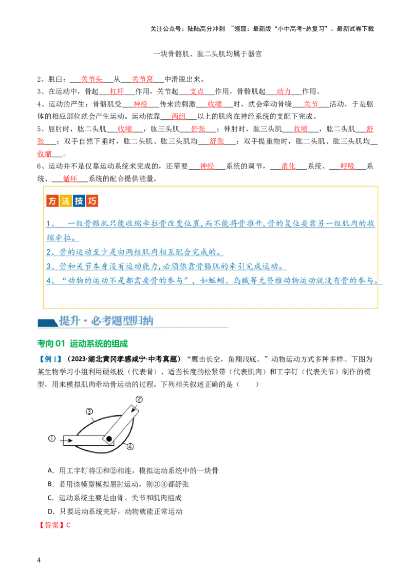 专题17动物的运动和行为、动物在生物圈中的作用（讲义）（解析版）_02中考总复习（2026版更新中）_08-生物-中考总复习_2024年中考复习资料_一轮复习_讲义