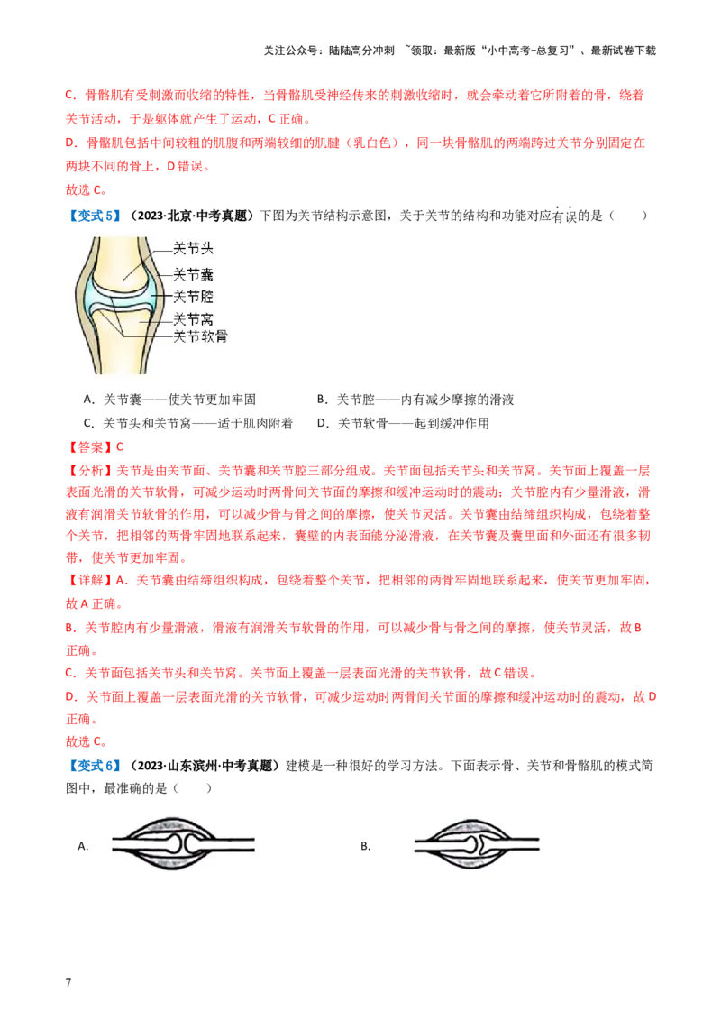 专题17动物的运动和行为、动物在生物圈中的作用（讲义）（解析版）_02中考总复习（2026版更新中）_08-生物-中考总复习_2024年中考复习资料_一轮复习_讲义