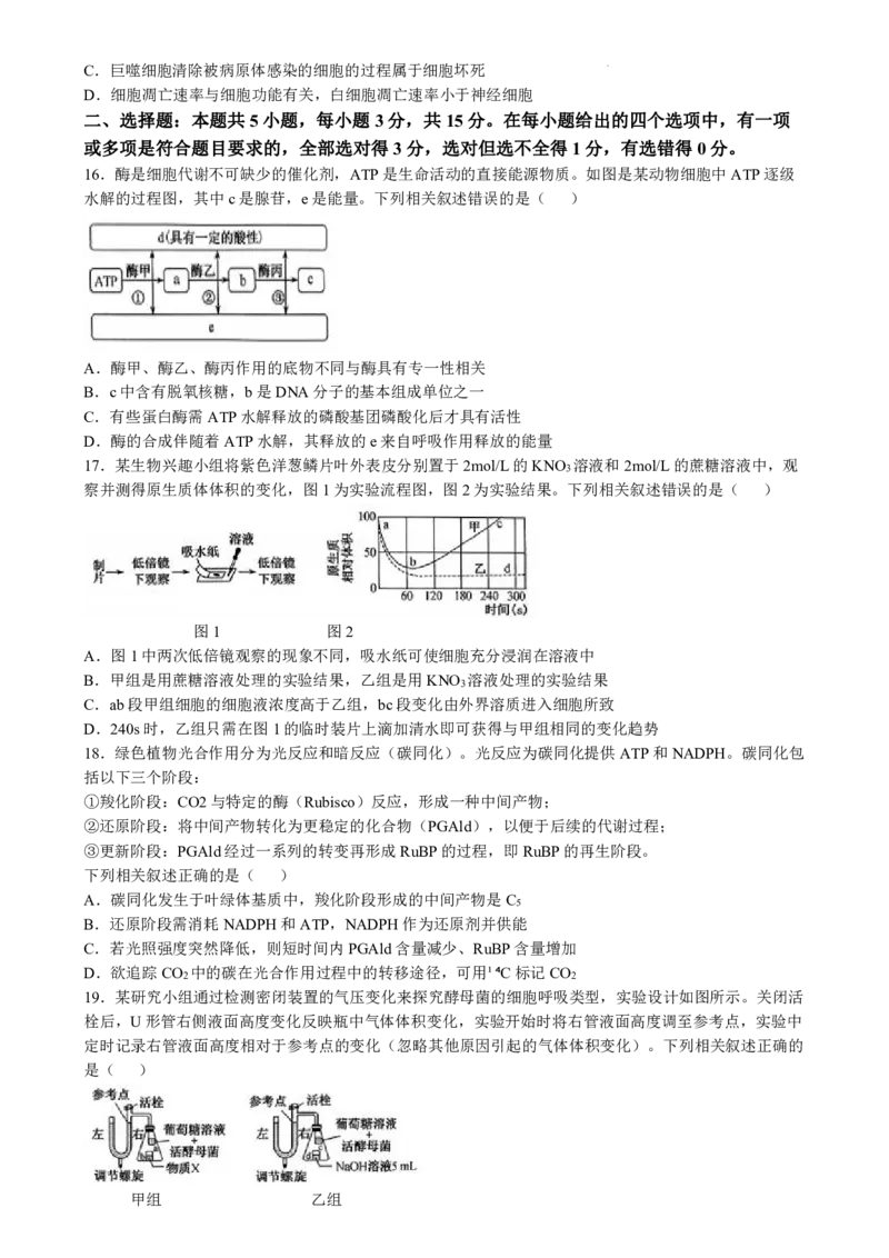 九师联盟2025届高三10月联考（S-G）生物试题_A1502026各地模拟卷（超值！）_10月_2410082025届九师联盟高三10月8联考（9月质量检测巩固卷G）