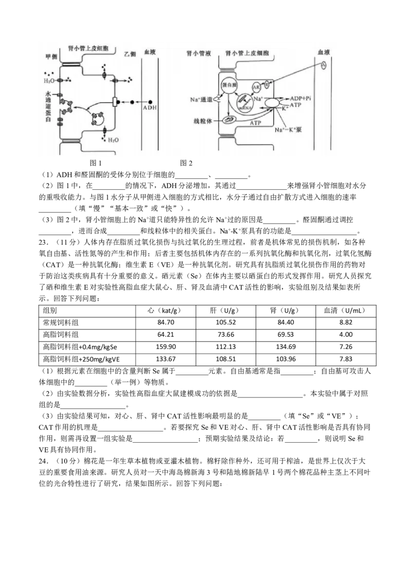 九师联盟2025届高三10月联考（S-G）生物试题_A1502026各地模拟卷（超值！）_10月_2410082025届九师联盟高三10月8联考（9月质量检测巩固卷G）
