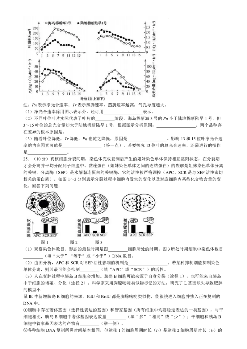 九师联盟2025届高三10月联考（S-G）生物试题_A1502026各地模拟卷（超值！）_10月_2410082025届九师联盟高三10月8联考（9月质量检测巩固卷G）