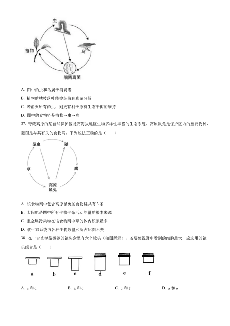 精品解析：北京市北京一零一中学2022-2023学年七年级上学期期中生物试题（原卷版）(1)_北京初中期末题_C605-京七八九_B京生物七八九_北京7上生物_2022-2024_北京生物7上期中