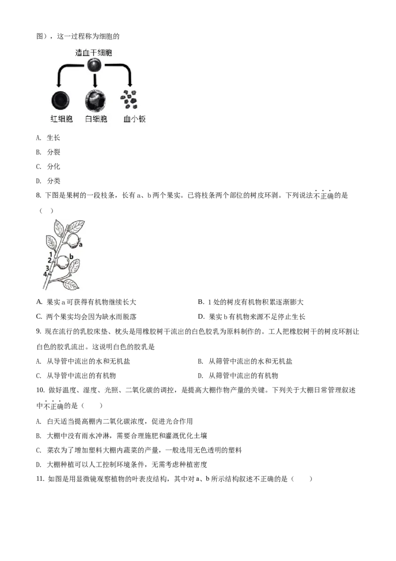 精品解析：北京市密云区2019-2020学年七年级上学期期末生物试题（原卷版）(1)_北京初中期末题_C605-京七八九_B京生物七八九_北京7上生物_2019-2020