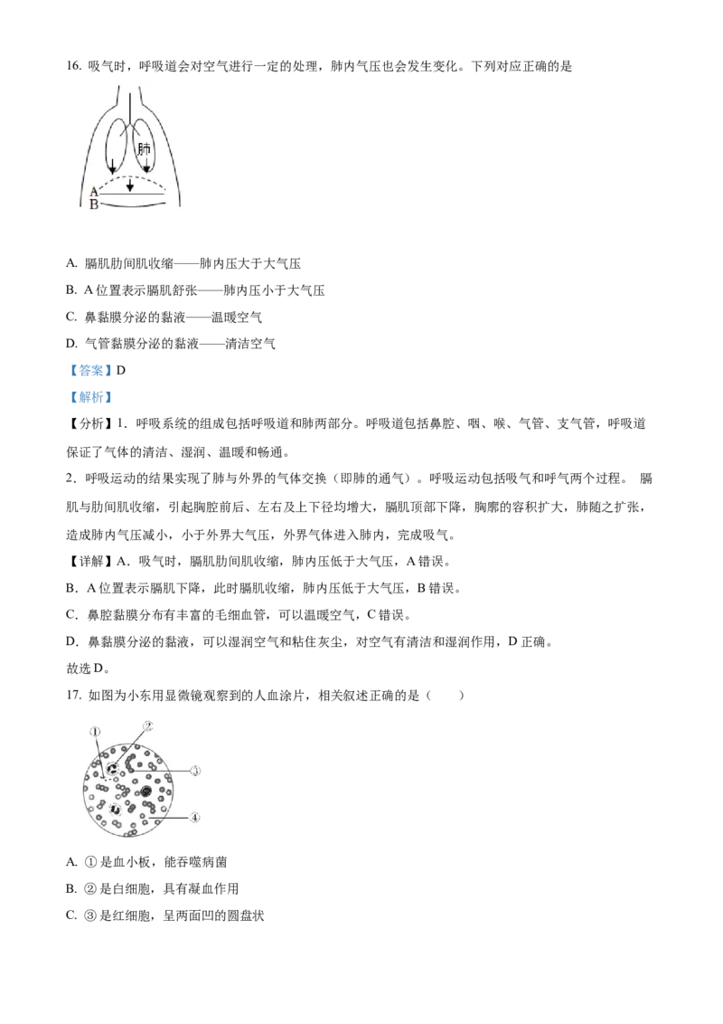 精品解析：北京市一六一中学2021-2022学年八年级下学期期中生物试题（解析版）(1)_北京初中期末题_C605-京七八九_B京生物七八九_北京八下生物
