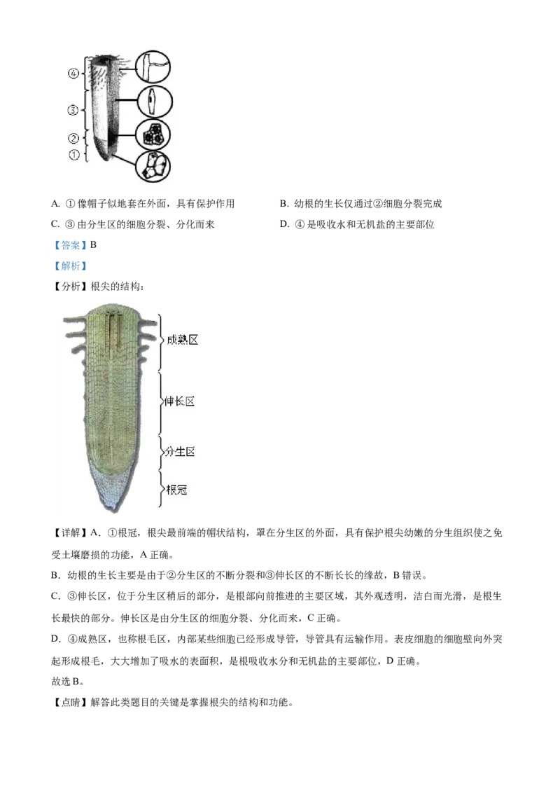 精品解析：北京市一六一中学2021-2022学年八年级下学期期中生物试题（解析版）(1)_北京初中期末题_C605-京七八九_B京生物七八九_北京八下生物