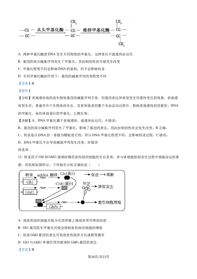 2025届广东省联考高三上学期10月第一次模拟（一模）生物试题答案_A1502026各地模拟卷（超值！）_10月_241018广东省（雷州市龙门中学、客路中学）两校2025届高三10月第一次模拟考试