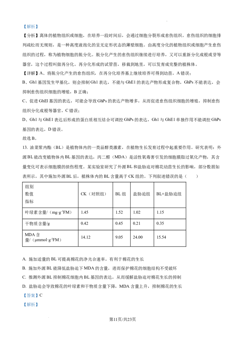 2025届广东省联考高三上学期10月第一次模拟（一模）生物试题答案_A1502026各地模拟卷（超值！）_10月_241018广东省（雷州市龙门中学、客路中学）两校2025届高三10月第一次模拟考试