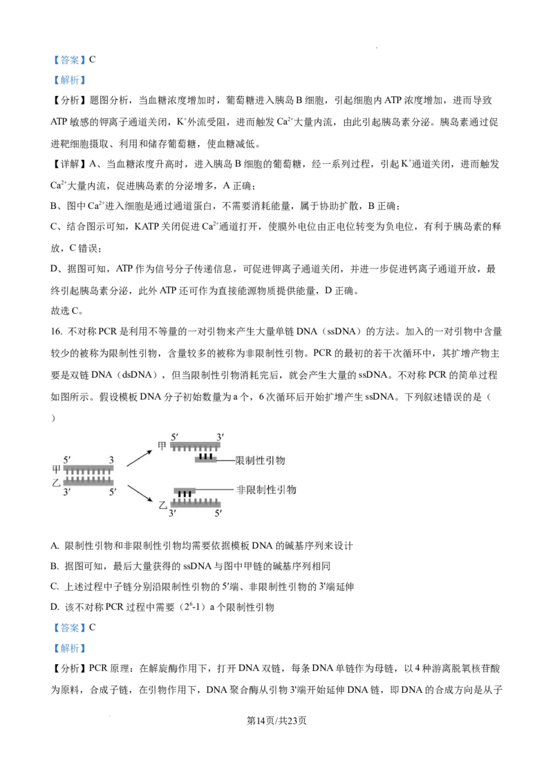 2025届广东省联考高三上学期10月第一次模拟（一模）生物试题答案_A1502026各地模拟卷（超值！）_10月_241018广东省（雷州市龙门中学、客路中学）两校2025届高三10月第一次模拟考试