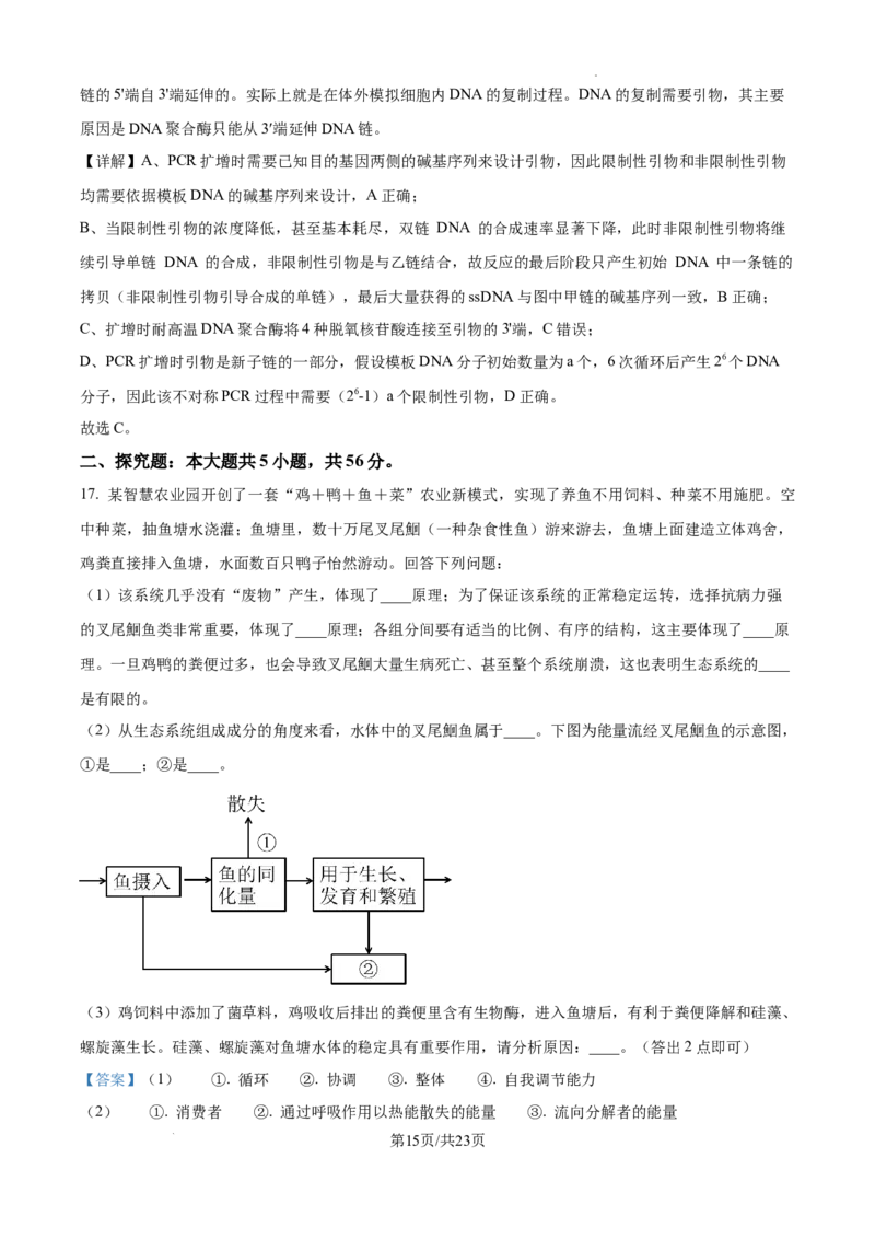 2025届广东省联考高三上学期10月第一次模拟（一模）生物试题答案_A1502026各地模拟卷（超值！）_10月_241018广东省（雷州市龙门中学、客路中学）两校2025届高三10月第一次模拟考试