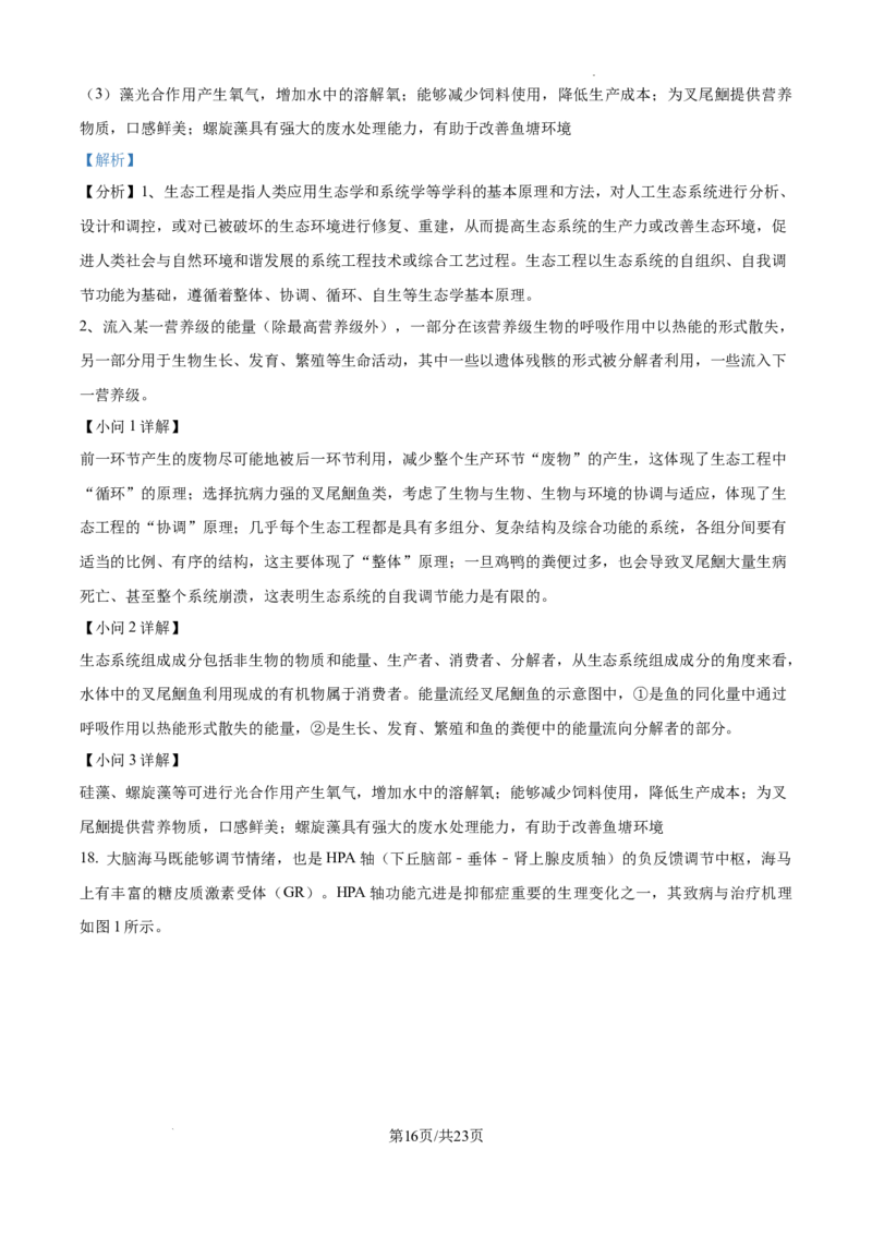 2025届广东省联考高三上学期10月第一次模拟（一模）生物试题答案_A1502026各地模拟卷（超值！）_10月_241018广东省（雷州市龙门中学、客路中学）两校2025届高三10月第一次模拟考试
