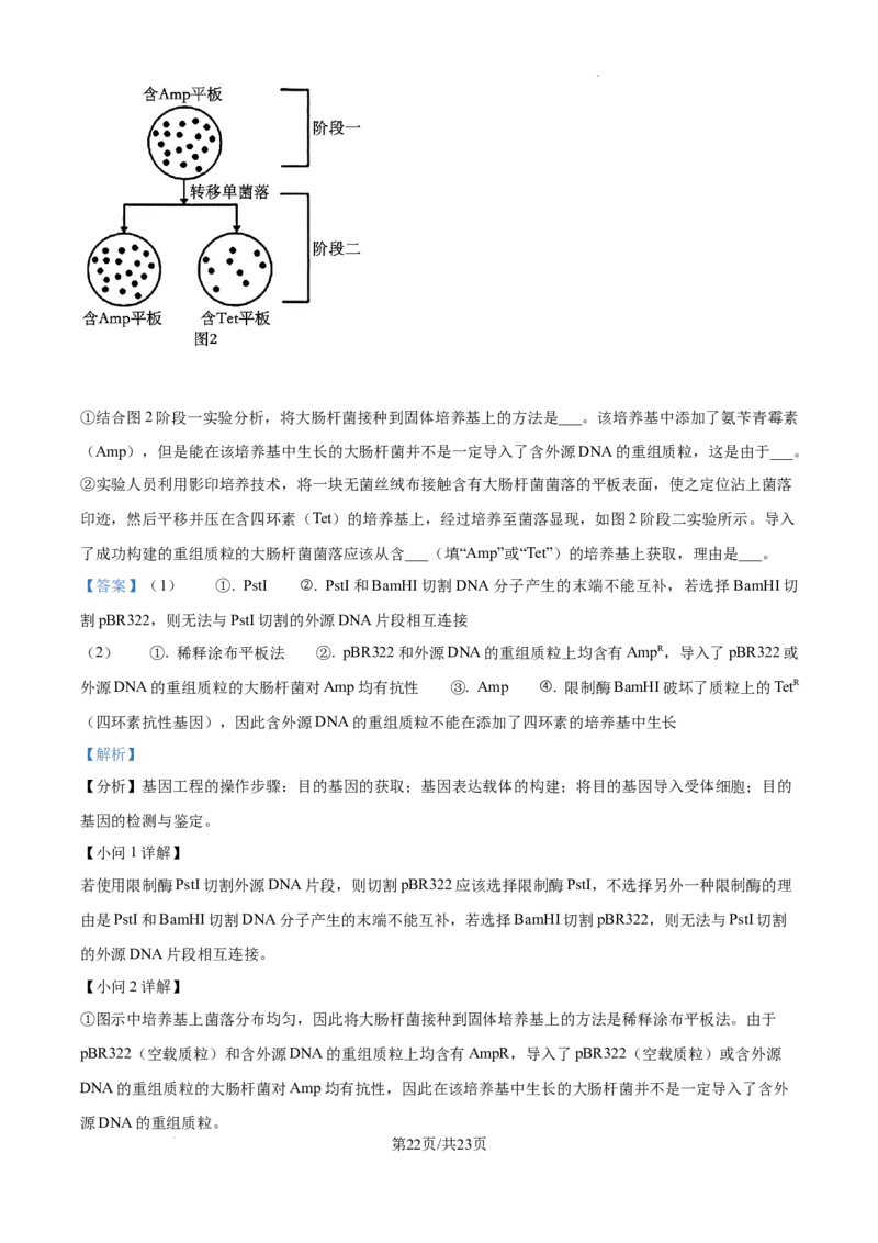 2025届广东省联考高三上学期10月第一次模拟（一模）生物试题答案_A1502026各地模拟卷（超值！）_10月_241018广东省（雷州市龙门中学、客路中学）两校2025届高三10月第一次模拟考试