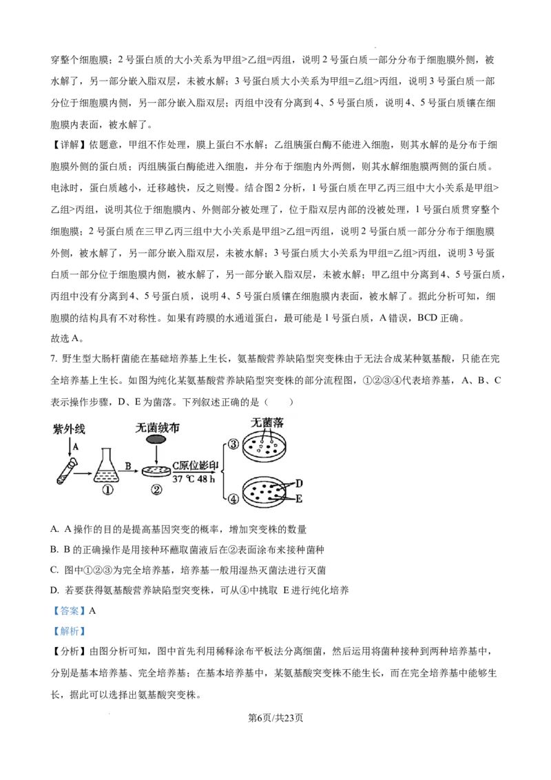 2025届广东省联考高三上学期10月第一次模拟（一模）生物试题答案_A1502026各地模拟卷（超值！）_10月_241018广东省（雷州市龙门中学、客路中学）两校2025届高三10月第一次模拟考试