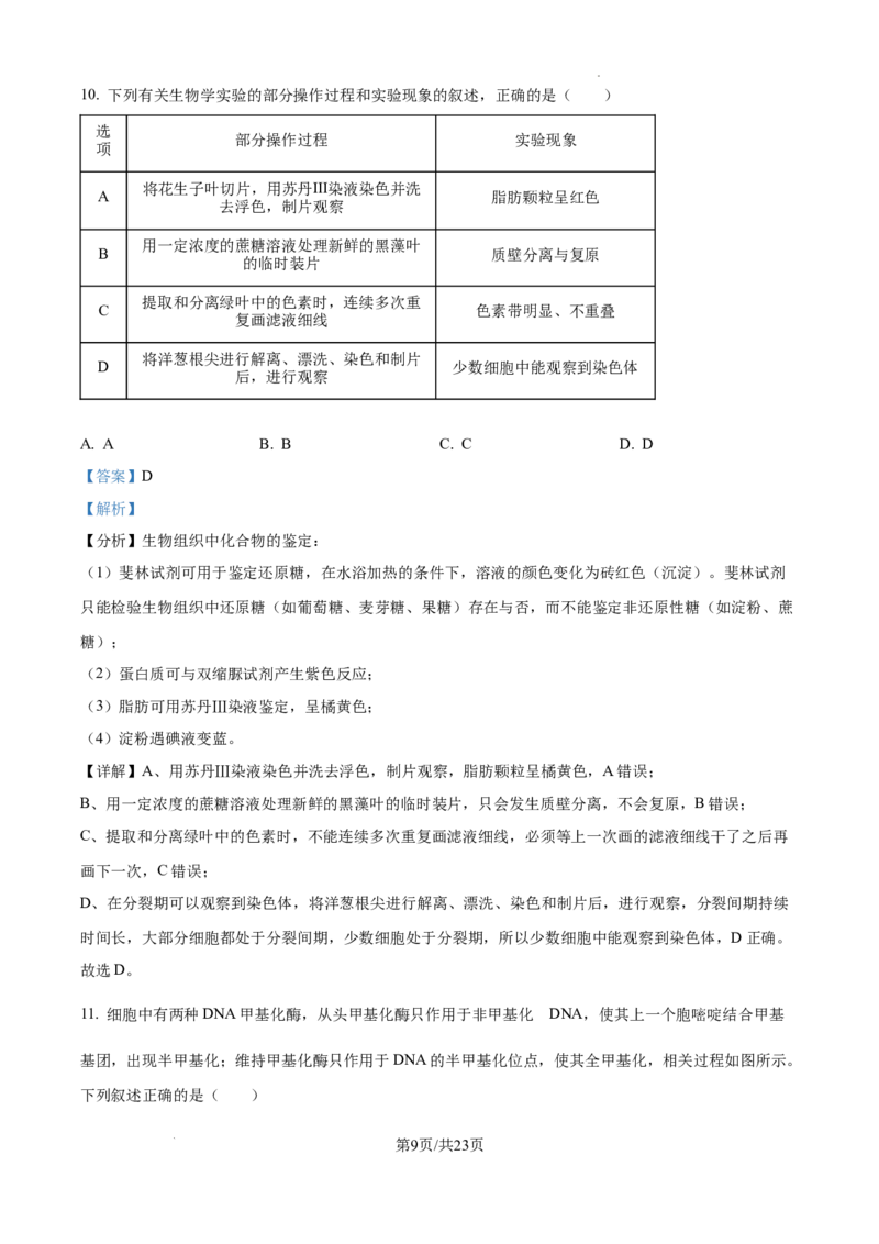 2025届广东省联考高三上学期10月第一次模拟（一模）生物试题答案_A1502026各地模拟卷（超值！）_10月_241018广东省（雷州市龙门中学、客路中学）两校2025届高三10月第一次模拟考试