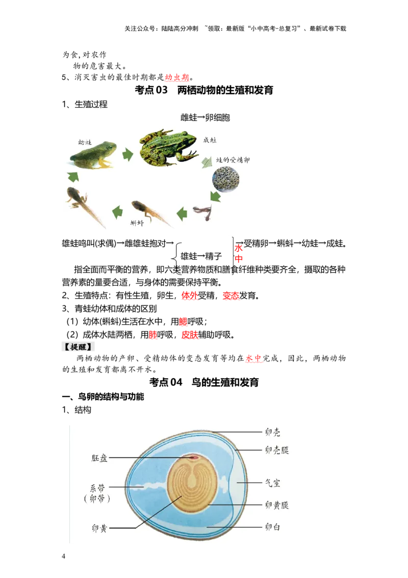 专题20+生物的生殖和发育（背记帮）-备战2024年中考生物一轮复习考点帮_02中考总复习（2026版更新中）_08-生物-中考总复习_2024年中考复习资料_一轮复习_必背考点
