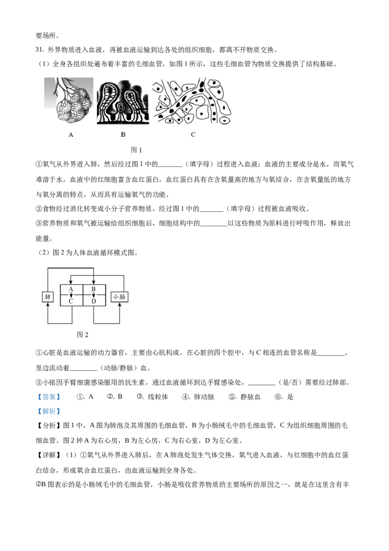 精品解析：北京市平谷区2020-2021学年七年级上学期期末生物试题（解析版）(1)_北京初中期末题_C605-京七八九_B京生物七八九_北京7上生物_2020-2021