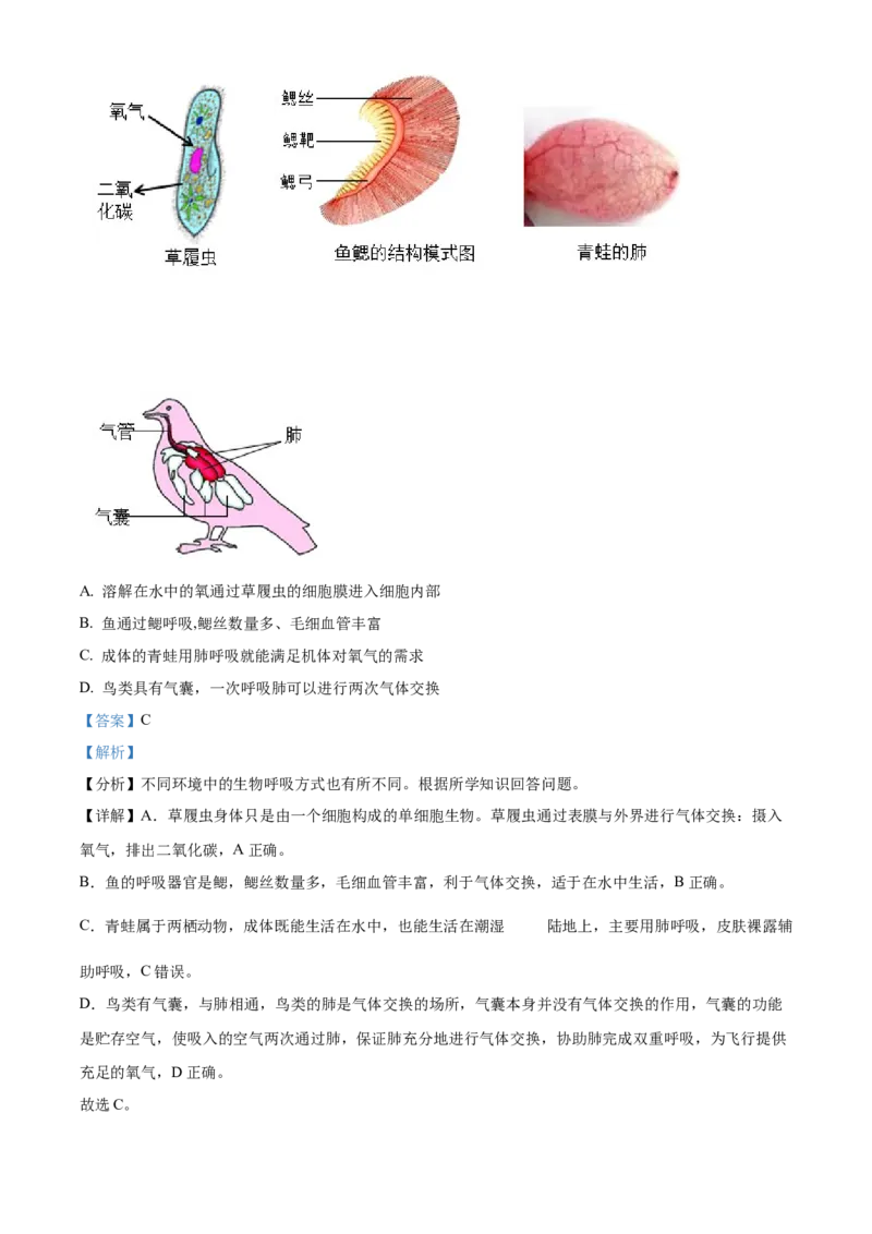 精品解析：北京市密云区2021-2022学年七年级下学期期末生物试题（解析版）(1)_北京初中期末题_C605-京七八九_B京生物七八九_北京7下生物_2021-2022