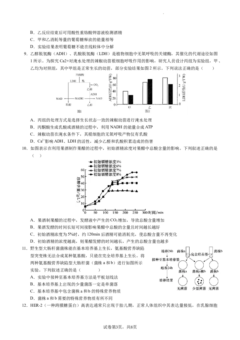 成都石室中学2023-2024学年度下期高2025届零诊模拟考试生物试卷_A1502026各地模拟卷（超值！）_6月_2406272025届四川省成都市石室中学高三零诊模拟_生物