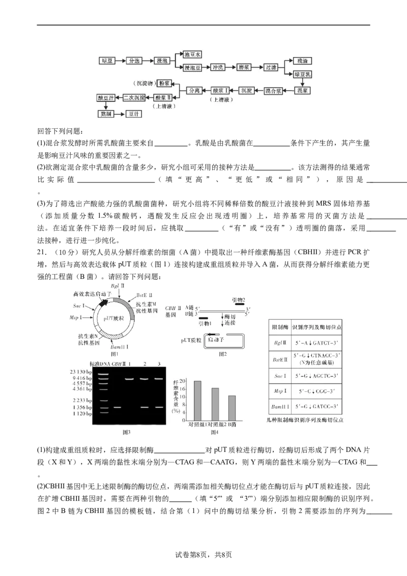 成都石室中学2023-2024学年度下期高2025届零诊模拟考试生物试卷_A1502026各地模拟卷（超值！）_6月_2406272025届四川省成都市石室中学高三零诊模拟_生物