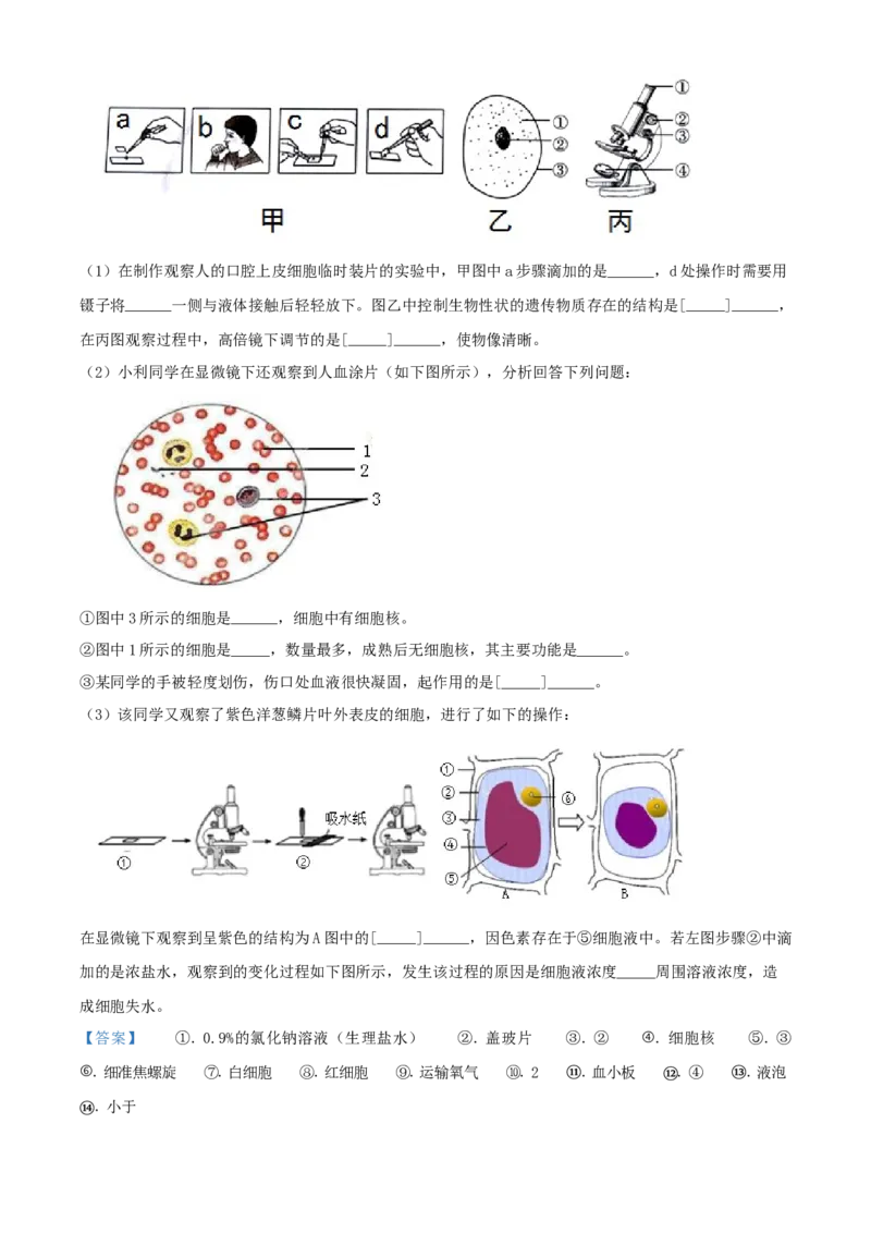 精品解析：北京市延庆区2019-2020学年七年级下学期期中生物试题（解析版）(1)_北京初中期末题_C605-京七八九_B京生物七八九_北京7下生物_2019-2020
