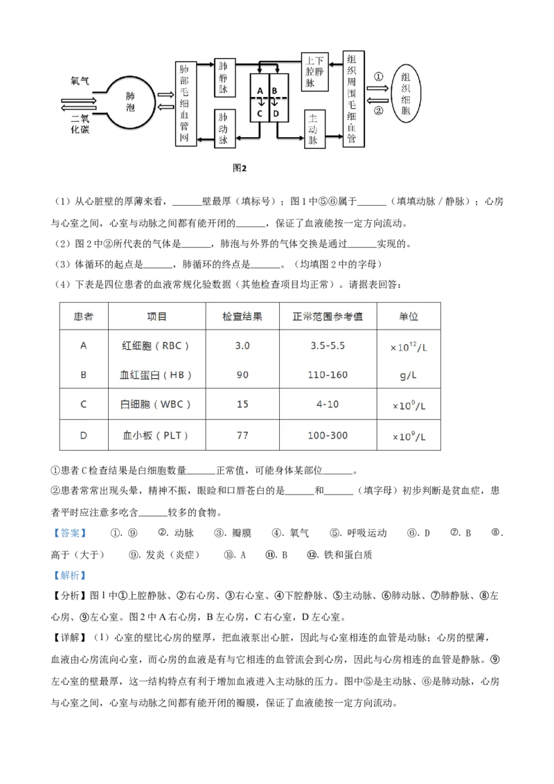 精品解析：北京市延庆区2019-2020学年七年级下学期期中生物试题（解析版）(1)_北京初中期末题_C605-京七八九_B京生物七八九_北京7下生物_2019-2020