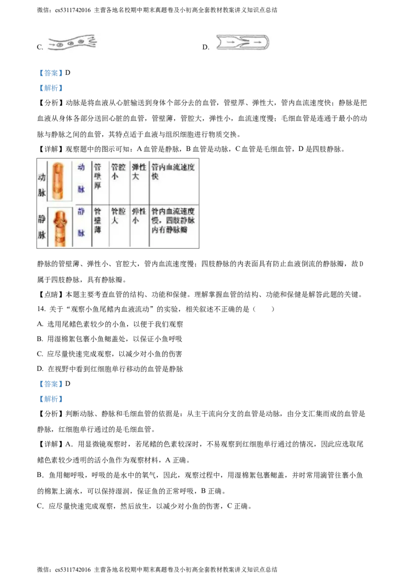 精品解析：北京市北京师范大学附属中学2023-2024学年七年级下学期开学考试生物试题（解析版）(1)_北京初中期末题_C605-京七八九_B京生物七八九_北京7下生物_2022-2024_北京生物7下月考