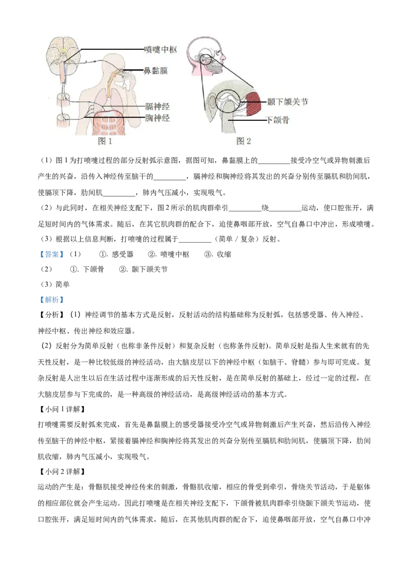 精品解析：北京市文汇中学2021-2022学年八年级下学期期中生物试题（解析版）(1)_北京初中期末题_C605-京七八九_B京生物七八九_北京八下生物
