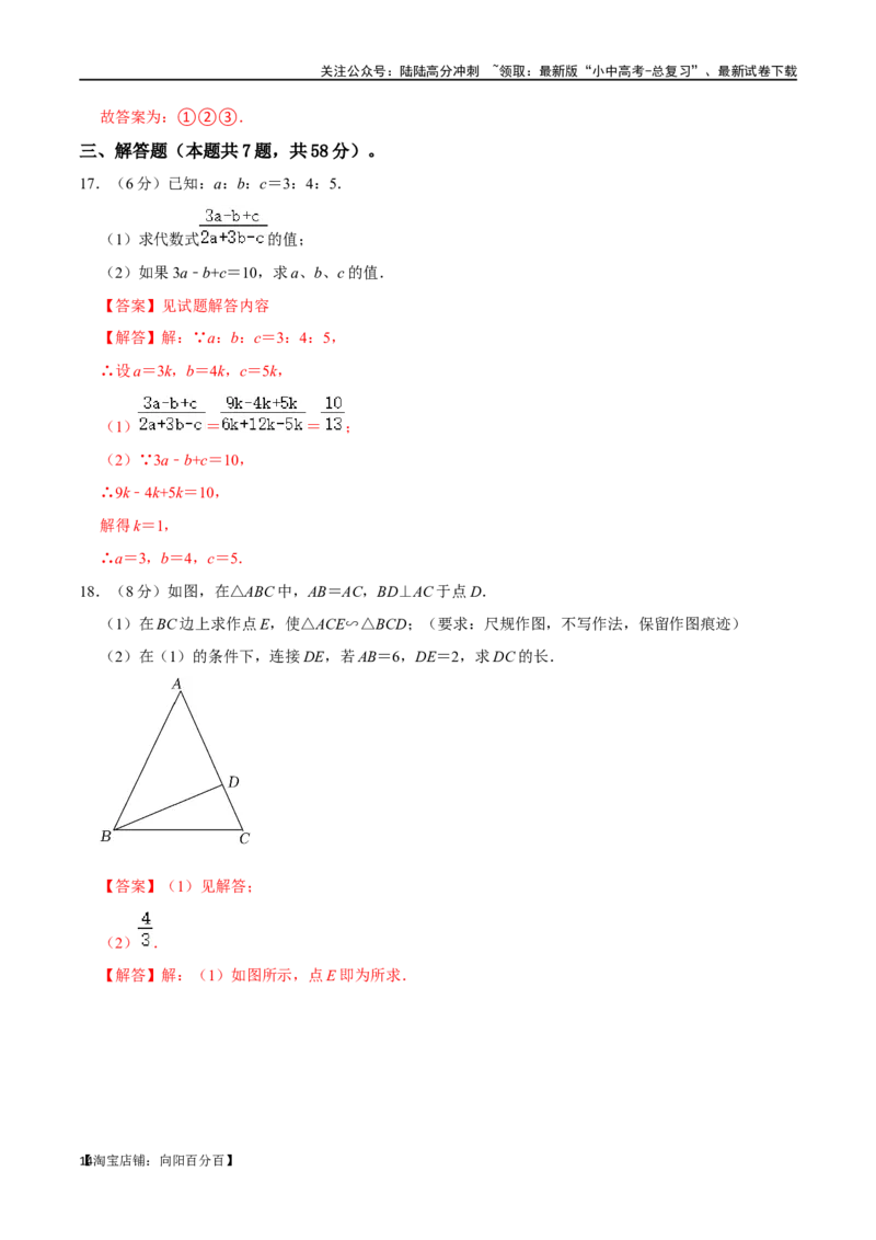 专题19图形的相似与位似过关检测-备战2024年中考数学一轮复习考点帮（全国通用）（解析版）_02中考总复习（2026版更新中）_02-数学-中考总复习_2024年中考复习资料_一轮复习资料