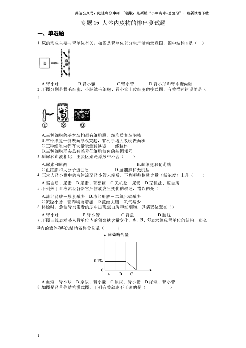 专题16人体内废物的排出（原卷版）_02中考总复习（2026版更新中）_08-生物-中考总复习_2024年中考复习资料_一轮复习_配套练习
