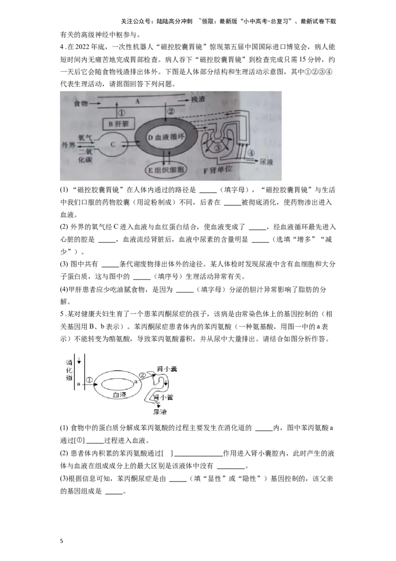 专题16人体内废物的排出（原卷版）_02中考总复习（2026版更新中）_08-生物-中考总复习_2024年中考复习资料_一轮复习_配套练习