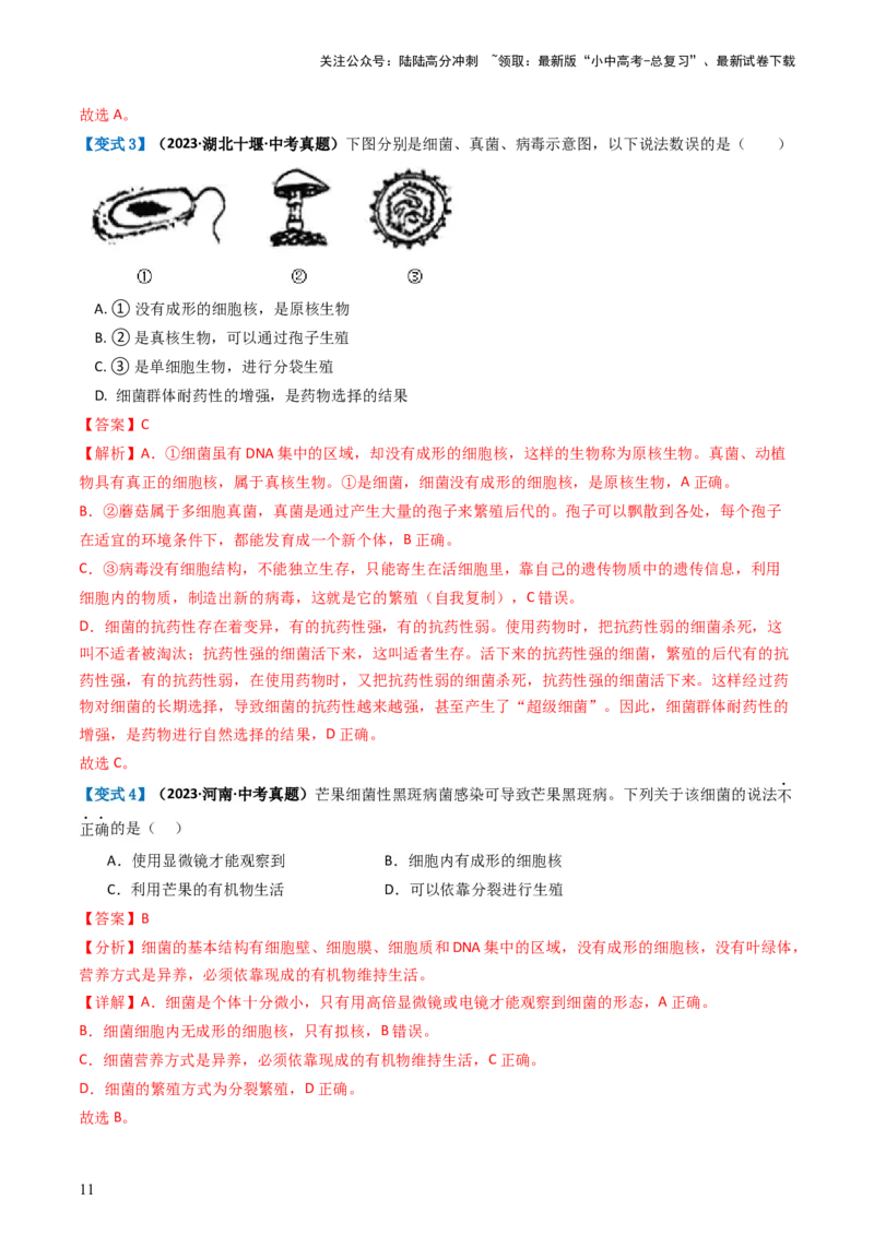 专题18细菌、真菌和病毒（讲义）（解析版）_02中考总复习（2026版更新中）_08-生物-中考总复习_2024年中考复习资料_一轮复习_❤2024年中考生物一轮复习讲练测（全国通用）_讲义