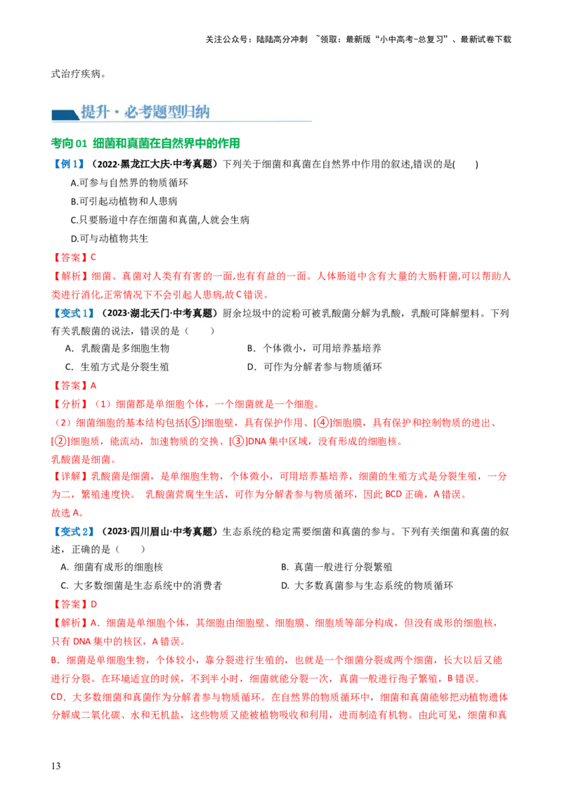 专题18细菌、真菌和病毒（讲义）（解析版）_02中考总复习（2026版更新中）_08-生物-中考总复习_2024年中考复习资料_一轮复习_❤2024年中考生物一轮复习讲练测（全国通用）_讲义