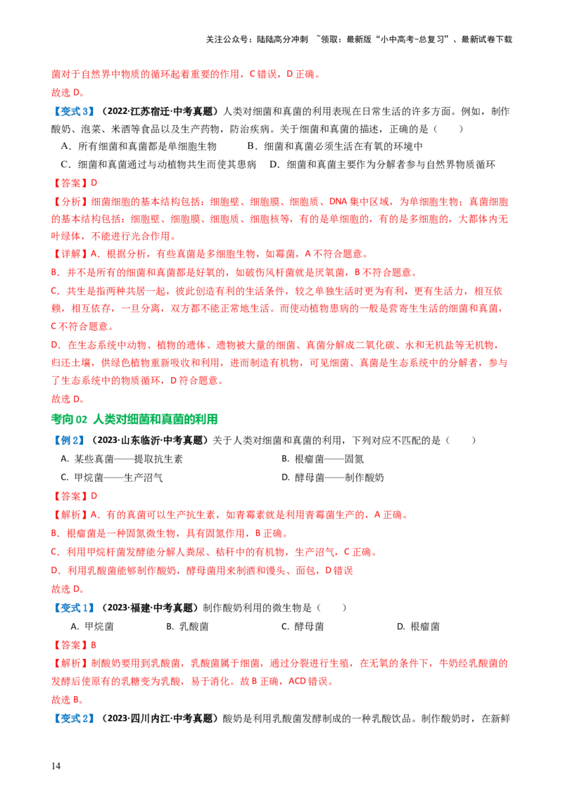 专题18细菌、真菌和病毒（讲义）（解析版）_02中考总复习（2026版更新中）_08-生物-中考总复习_2024年中考复习资料_一轮复习_❤2024年中考生物一轮复习讲练测（全国通用）_讲义