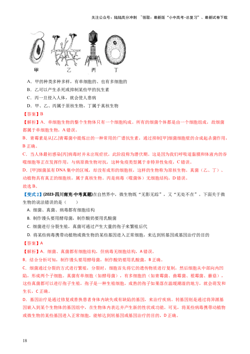 专题18细菌、真菌和病毒（讲义）（解析版）_02中考总复习（2026版更新中）_08-生物-中考总复习_2024年中考复习资料_一轮复习_❤2024年中考生物一轮复习讲练测（全国通用）_讲义