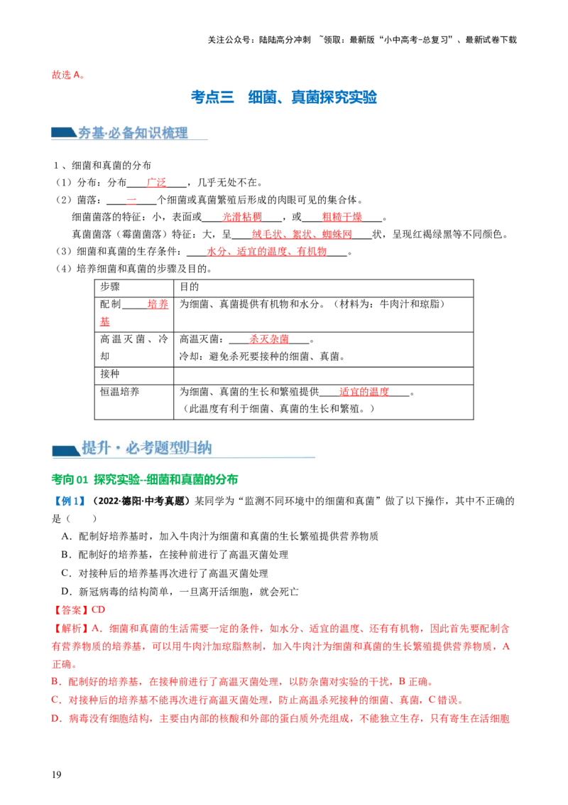 专题18细菌、真菌和病毒（讲义）（解析版）_02中考总复习（2026版更新中）_08-生物-中考总复习_2024年中考复习资料_一轮复习_❤2024年中考生物一轮复习讲练测（全国通用）_讲义