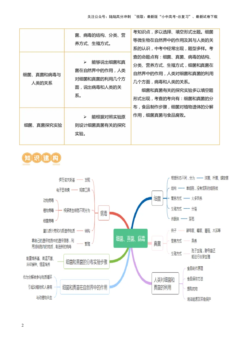 专题18细菌、真菌和病毒（讲义）（解析版）_02中考总复习（2026版更新中）_08-生物-中考总复习_2024年中考复习资料_一轮复习_❤2024年中考生物一轮复习讲练测（全国通用）_讲义