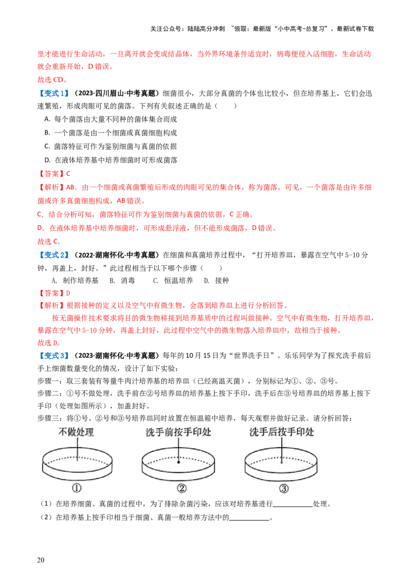 专题18细菌、真菌和病毒（讲义）（解析版）_02中考总复习（2026版更新中）_08-生物-中考总复习_2024年中考复习资料_一轮复习_❤2024年中考生物一轮复习讲练测（全国通用）_讲义
