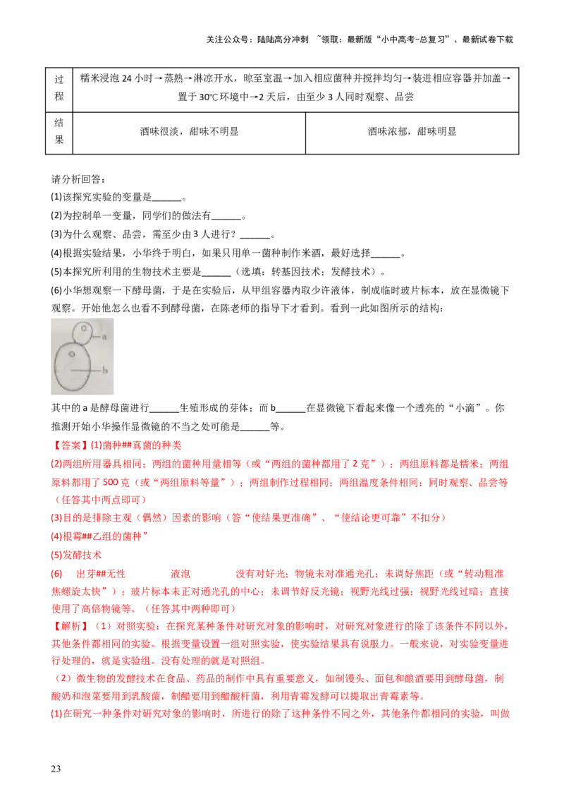 专题18细菌、真菌和病毒（讲义）（解析版）_02中考总复习（2026版更新中）_08-生物-中考总复习_2024年中考复习资料_一轮复习_❤2024年中考生物一轮复习讲练测（全国通用）_讲义