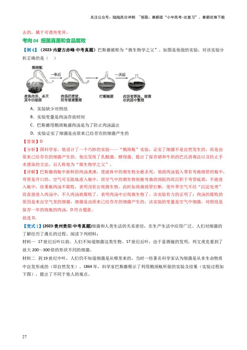 专题18细菌、真菌和病毒（讲义）（解析版）_02中考总复习（2026版更新中）_08-生物-中考总复习_2024年中考复习资料_一轮复习_❤2024年中考生物一轮复习讲练测（全国通用）_讲义