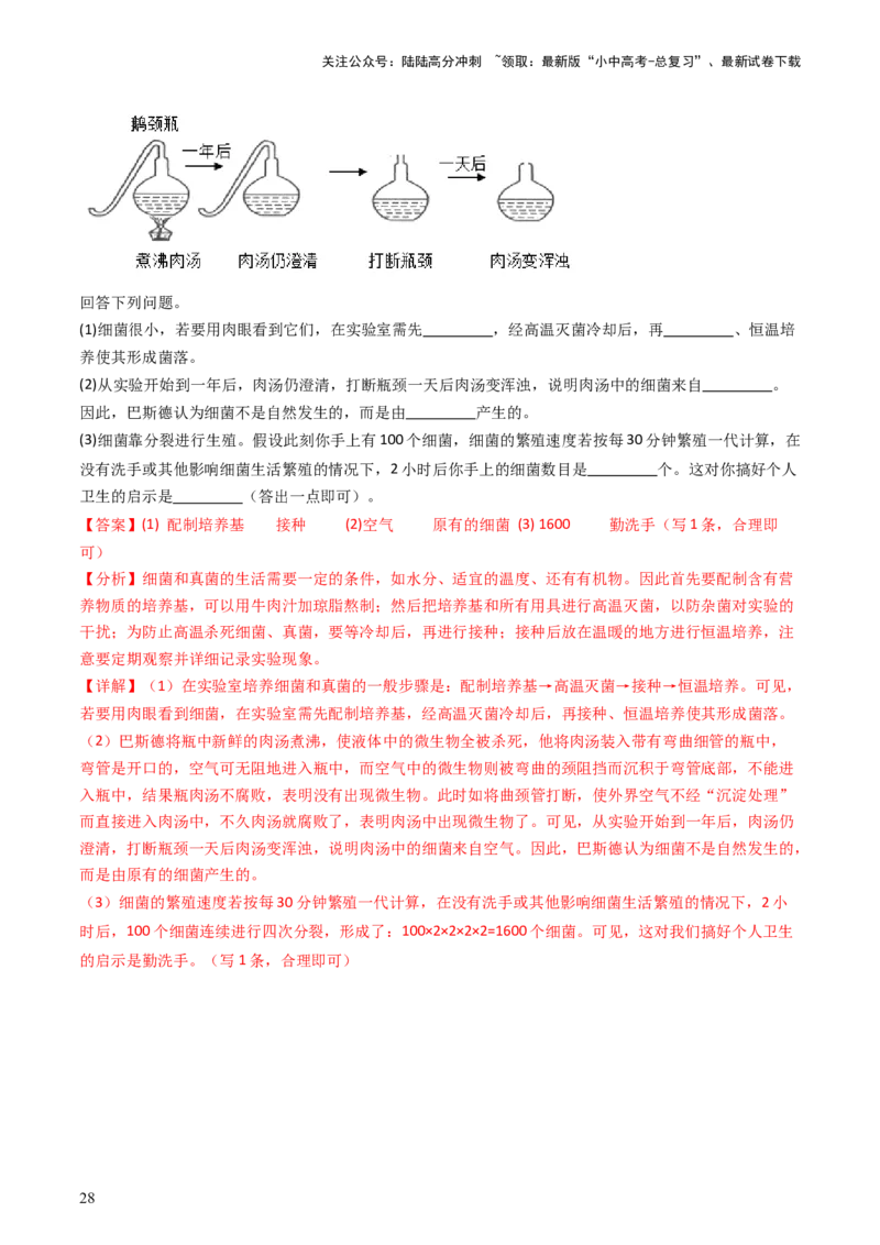专题18细菌、真菌和病毒（讲义）（解析版）_02中考总复习（2026版更新中）_08-生物-中考总复习_2024年中考复习资料_一轮复习_❤2024年中考生物一轮复习讲练测（全国通用）_讲义