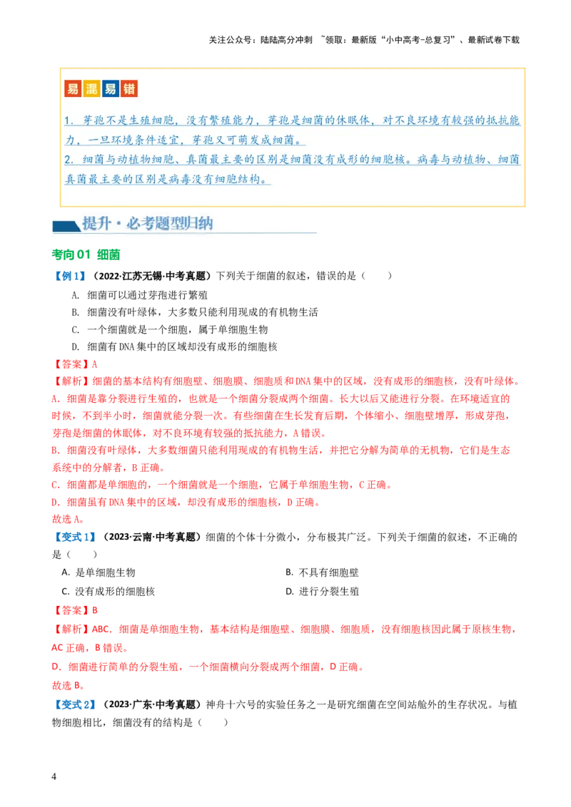 专题18细菌、真菌和病毒（讲义）（解析版）_02中考总复习（2026版更新中）_08-生物-中考总复习_2024年中考复习资料_一轮复习_❤2024年中考生物一轮复习讲练测（全国通用）_讲义