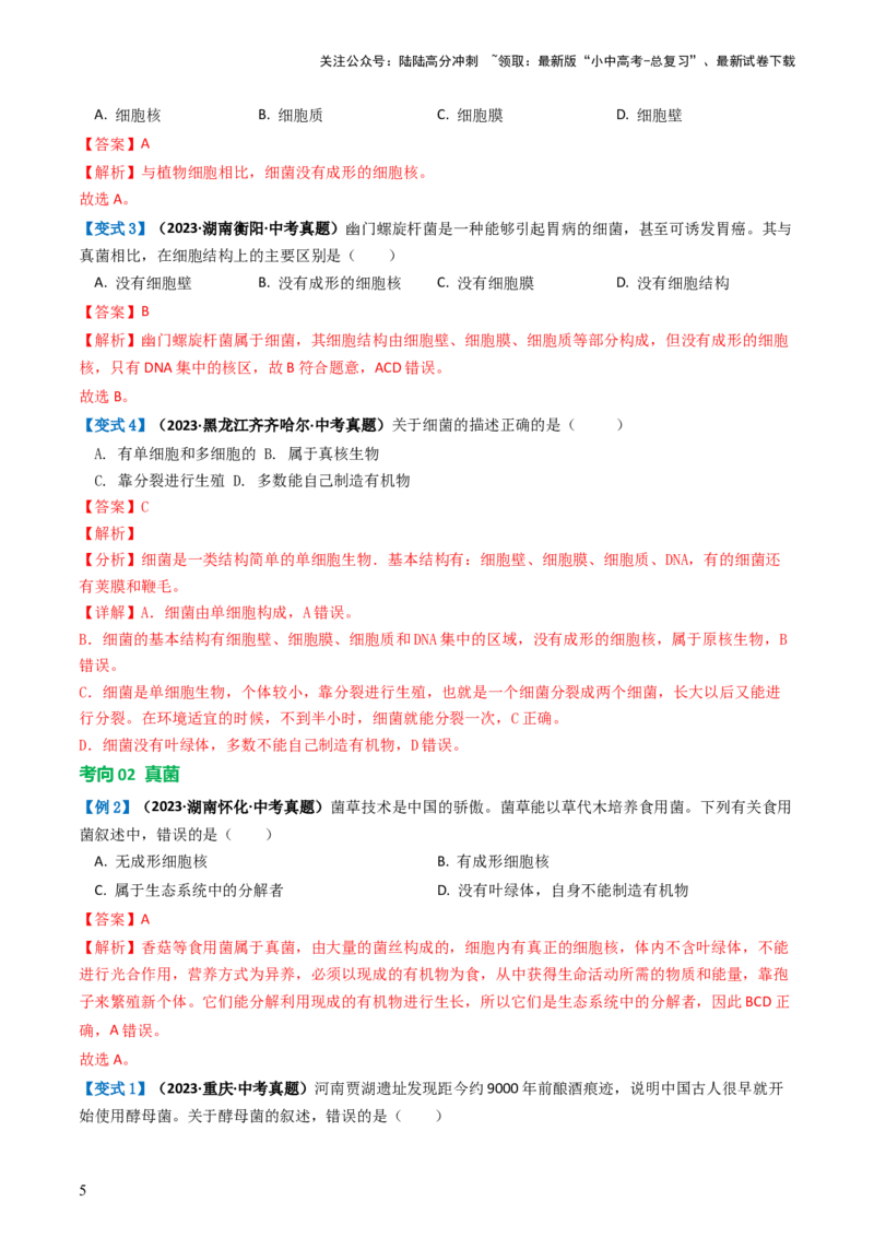 专题18细菌、真菌和病毒（讲义）（解析版）_02中考总复习（2026版更新中）_08-生物-中考总复习_2024年中考复习资料_一轮复习_❤2024年中考生物一轮复习讲练测（全国通用）_讲义