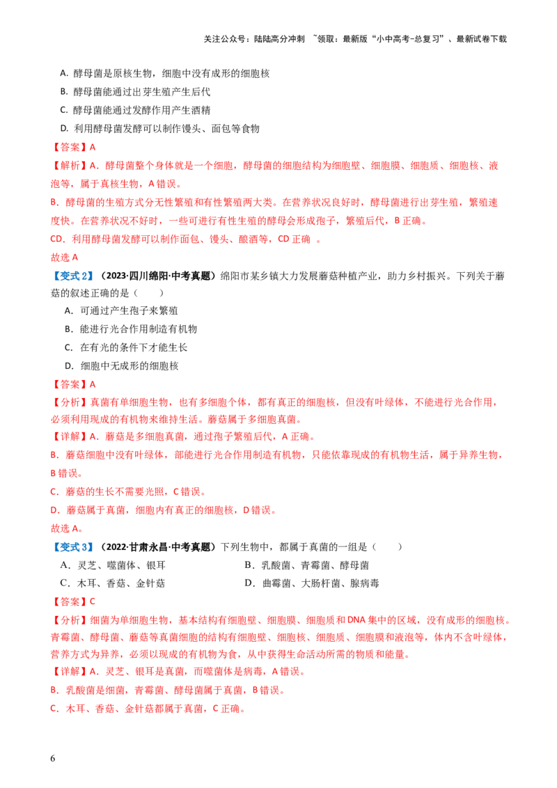 专题18细菌、真菌和病毒（讲义）（解析版）_02中考总复习（2026版更新中）_08-生物-中考总复习_2024年中考复习资料_一轮复习_❤2024年中考生物一轮复习讲练测（全国通用）_讲义