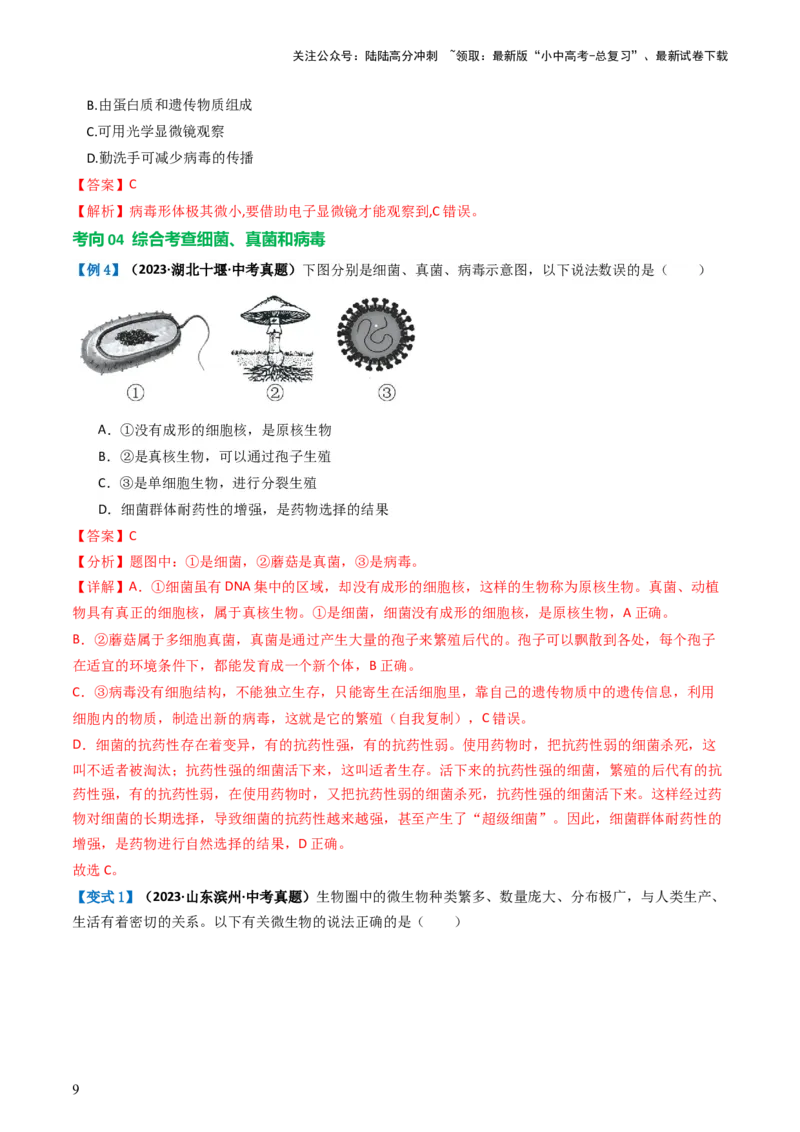专题18细菌、真菌和病毒（讲义）（解析版）_02中考总复习（2026版更新中）_08-生物-中考总复习_2024年中考复习资料_一轮复习_❤2024年中考生物一轮复习讲练测（全国通用）_讲义