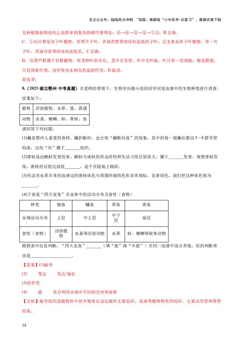 专题19生物多样性及其保护（练习）（解析版）_02中考总复习（2026版更新中）_08-生物-中考总复习_2024年中考复习资料_一轮复习_❤2024年中考生物一轮复习讲练测（全国通用）_练习